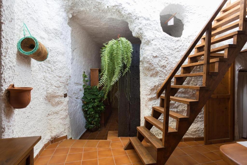 Live Socorro Cave Villa Guimar Luaran gambar